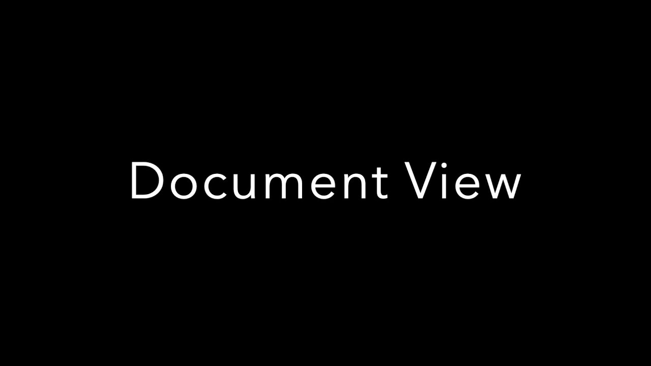 3. Document View in EVE