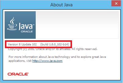 Java Version