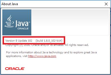 Java Version