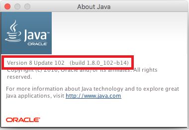 Java Version