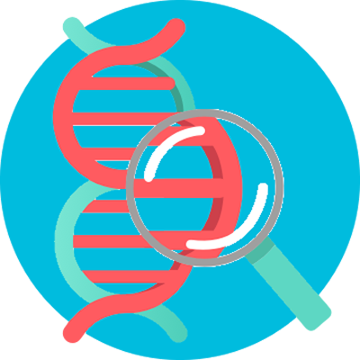 Other investigation reports