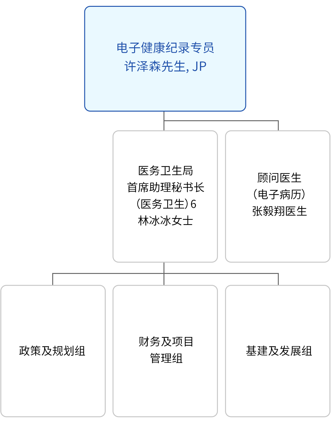 电子健康纪录统筹处