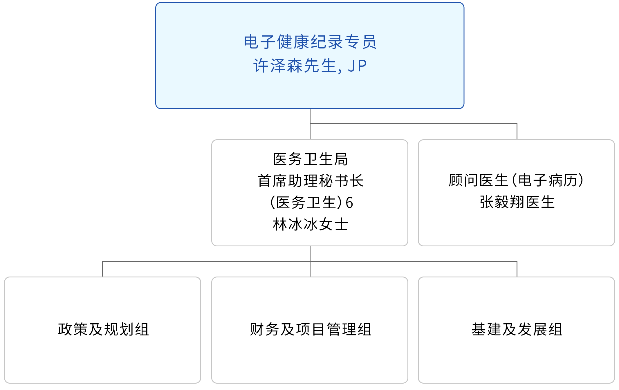 电子健康纪录统筹处