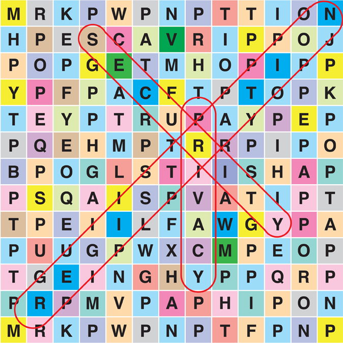 Word Search Puzzle