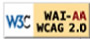 Explanation of WCAG 2.0 Level Double-A Conformance